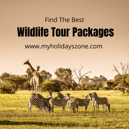 Wildlife Tour Packages