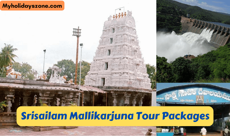 Best Srisailam Mallikarjuna Tour Packages