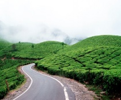 2 Nights-3 Days Enchanting Munnar Tour Package with Eravikulam National Park-Mattupetty Dam from Kochi/Ernakulam